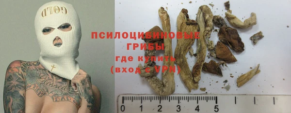 2c-b Беломорск
