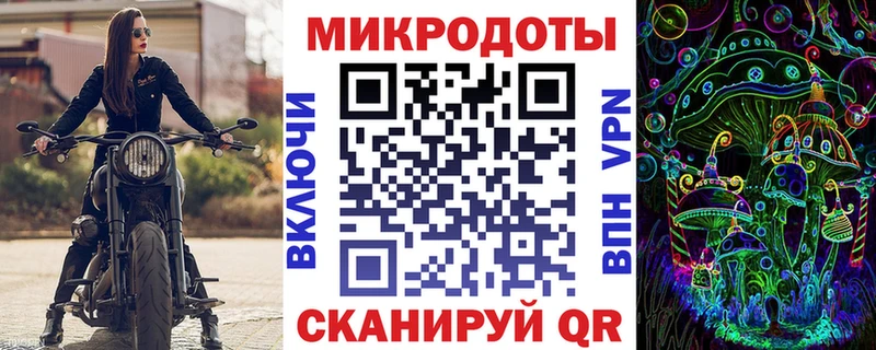 где купить   Городец  Псилоцибиновые грибы Cubensis 