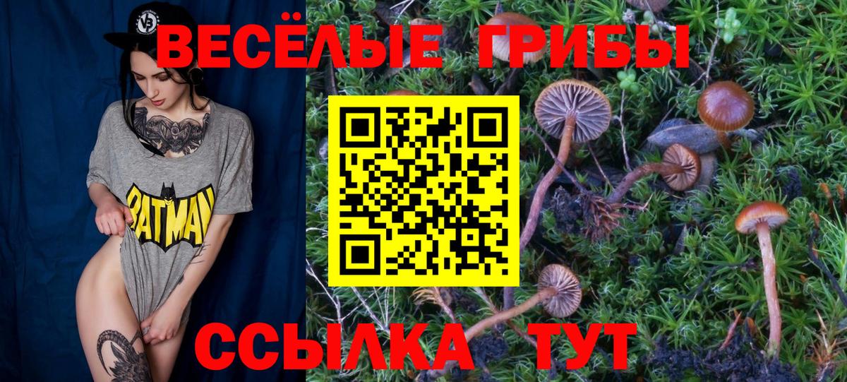 где найти наркотики  Вход с VPN  Городец  Псилоцибиновые грибы Magic Shrooms 