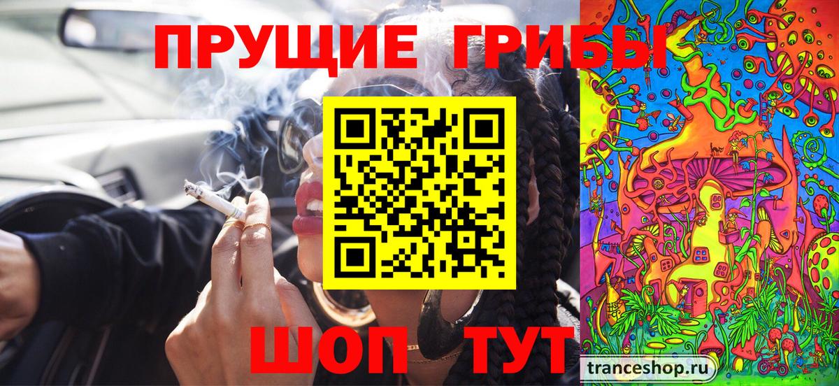 Псилоцибиновые грибы Cubensis Городец